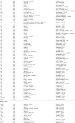 An Update on Resistance Genes and Their Use in the Development of Leaf Rust Resistant Cultivars in Wheat